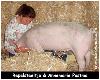 Repelsteeltje & Annemarie Postma